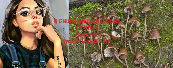 амф Балахна