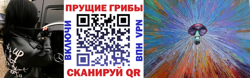 Псилоцибиновые грибы Psilocybe  Барабинск 